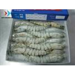 6/8Green Tiger Shrimp